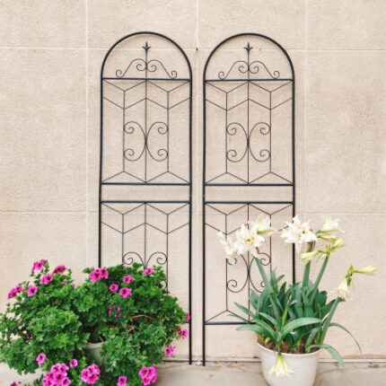 2-Pack 71" x 19.7" Rustproof Black Metal Garden Trellises: Heavy-Duty Support for Climbing Plants & Outdoor Blooms